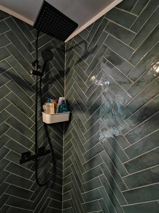 Chambre Chez Habitant Proche Metro 圖盧茲 外观 照片