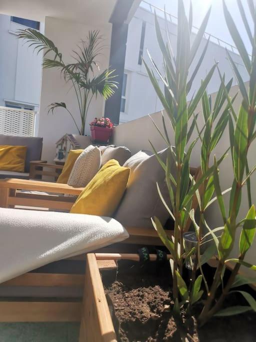 Chambre Chez Habitant Proche Metro 圖盧茲 外观 照片